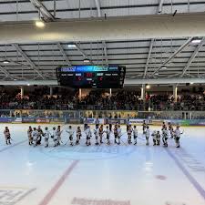 Image result for Romford Raiders