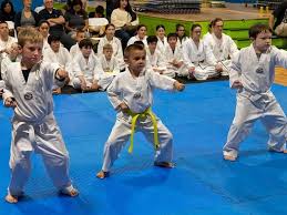 Image result for Southill Karate Club