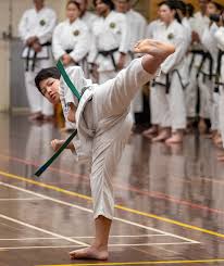 Image result for Breakthrough Tae Kwon Do