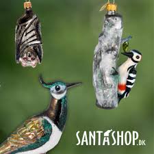 Attēlu rezultāti vaicājumam “Pediasia fascelinella”