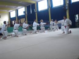 Image result for Mirfield Martial Arts Club