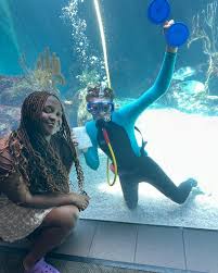 Image result for Old Pembertonians Badminton Club