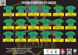 Image result for Parkside Golborne Amateur Rugby League Football Club