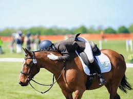 Image result for East Riding Badminton Club