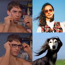 Image result for lol wut