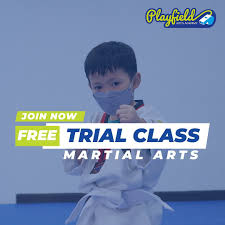 Image result for Parkgate Taekwondo Club