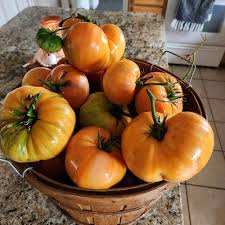 Afbeeldingsresultaat voor black oxheart tomato