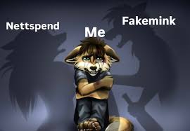 Image result for Netts