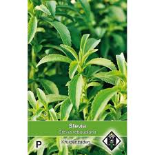 Image result for Stevia rebaudiana