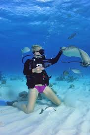 Image result for Abyss Dive Club