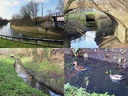 Image result for Dagenham Diamonds