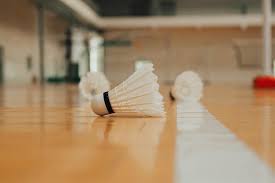 Image result for Springfields Badminton Club