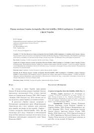 Attēlu rezultāti vaicājumam “Crambus heringiellus”