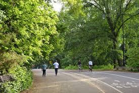 Image result for Prospect Park Beginner Jogging Sessions