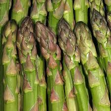 Attēlu rezultāti vaicājumam “Asparagus officinalis fruit”