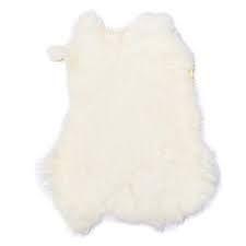 Image result for white rabbit skin texture