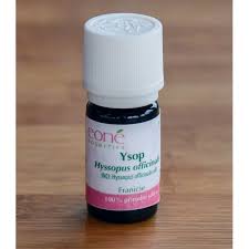 Image result for Ysop