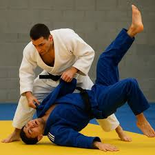 Image result for Arun Southcoast Judo Club.