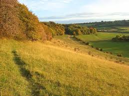 Image result for High Wycombe Cc