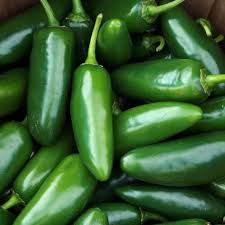 Afbeeldingsresultaat voor jalapeno early hot pepper