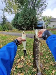 Image result for Cheadle Angling Club