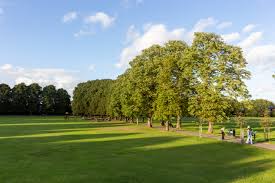 Image result for Aveling Park Bowls Club