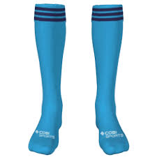 Image result for Swan`s Hockey Club