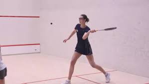 Image result for Brecon Badminton Club