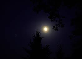 Attēlu rezultāti vaicājumam “pollen corona”