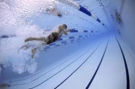 Image result for Haywards Heath Swimming Club