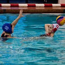 Image result for York University Swimming & Water Polo Club