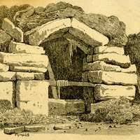 Attēlu rezultāti vaicājumam “Pterigynandrum filiforme”