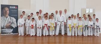Image result for TIVERTON SHOTOKAN KARATE CLUB