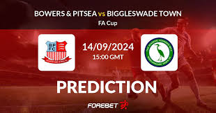 Image result for Biggleswade Sc