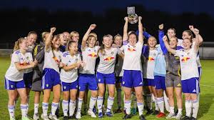 Image result for Doncaster Lakers