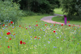 Image result for Cumbernauld Bowling Club