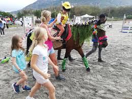 Image result for The Riding Centre