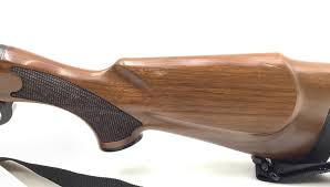 Resultado de imagen para remington 750 red dot