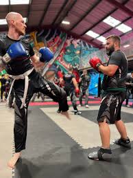 Image result for NEMESIS MARTIAL ARTS & FITNESS