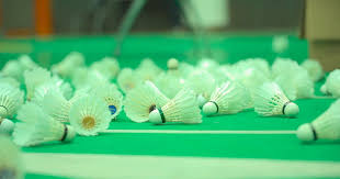 Image result for Highwoods Badminton Club