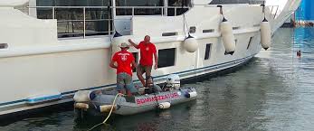 Image result for il_merda.jpg