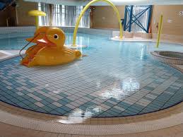 Image result for Fiverivers Leisure Centre