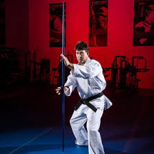 Image result for Freedom Martial Arts