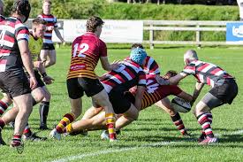 Image result for Crewe & Nantwich Rugby Union Football Club