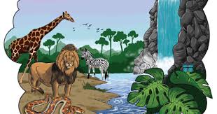 Image result for foto criação de deus