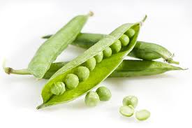 Image result for Erbsen