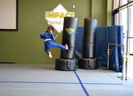 Image result for Impact Martial Arts