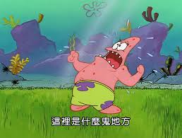 Image result for 這是什麼鬼