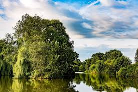 Image result for Penketh & Old Hall Angling Society