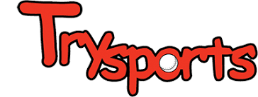 Image result for Foxes Netball Club